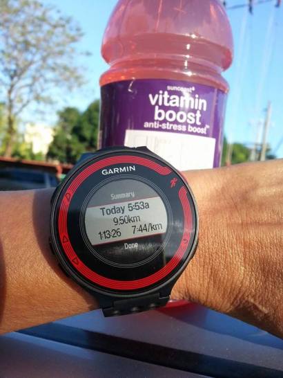 15577437_1292476470813393_1382925674_n